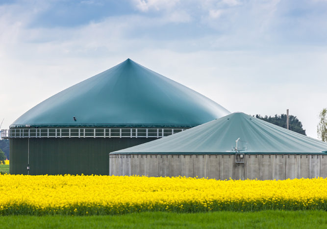 Biogas plant at the edge of a rape field in the German province Brandenburg (Germany).